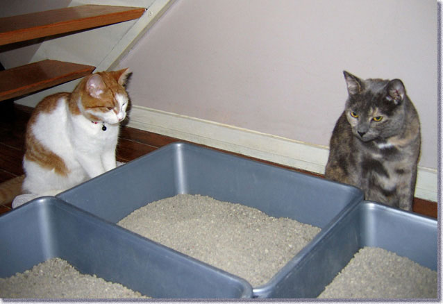 おかめとひょっとこ